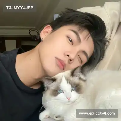 梅鹃仪